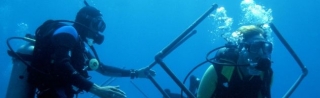  Erkunden Sie die Unterwasserwelt beim Tauchen